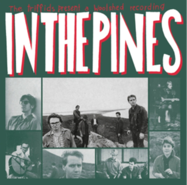 In The Pines