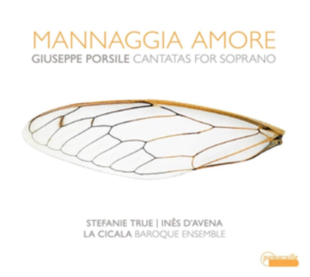 Giuseppe Porsile Mannaggia Amore - Canta