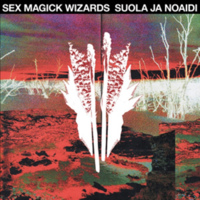 Suola Ja Noaidi