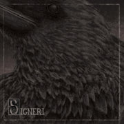 Signeri