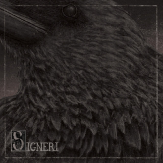 Signeri