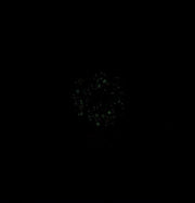 Ii