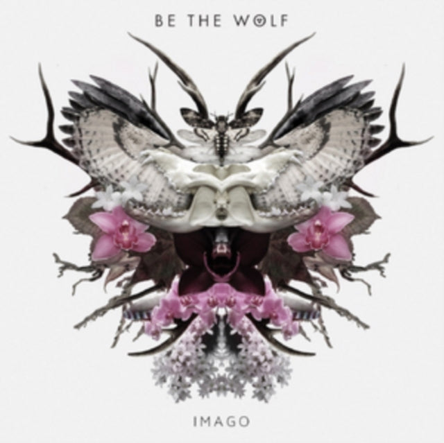 Imago