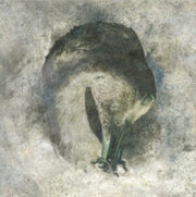 Ashes 20th Anniversary Edition