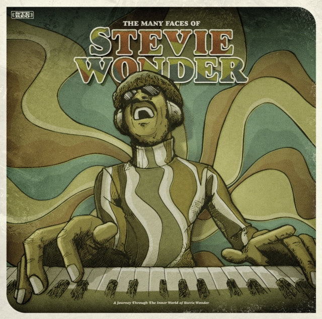 The Many Faces Of Stevie Wonder Brown Vi