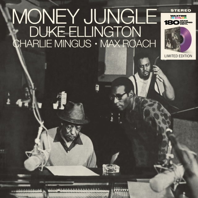 Money Jungle Limited Transparent Purple
