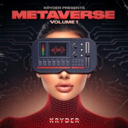 Metaverse. Volume 1