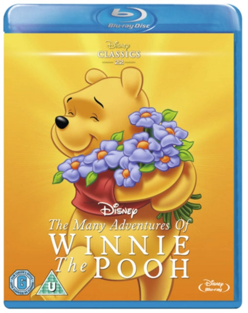 Many Adventures Of Winnie The Pooh
