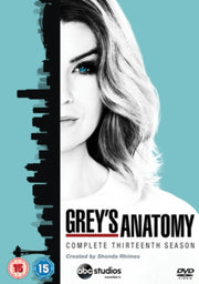 Greys Anatomy Season 13
