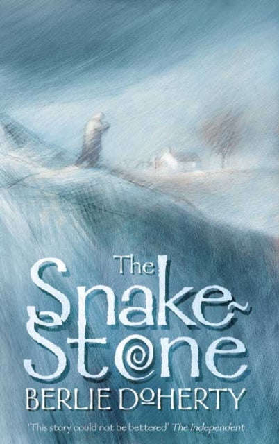 Snake Stone By Doherty, Berlie