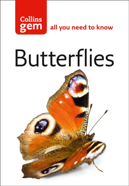 Gem Butterflies