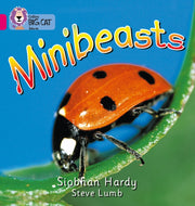 Minibeasts  Pink A Band 1a