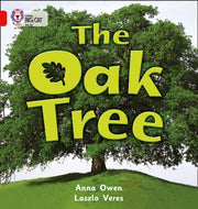 Big Cat The Oak Tree