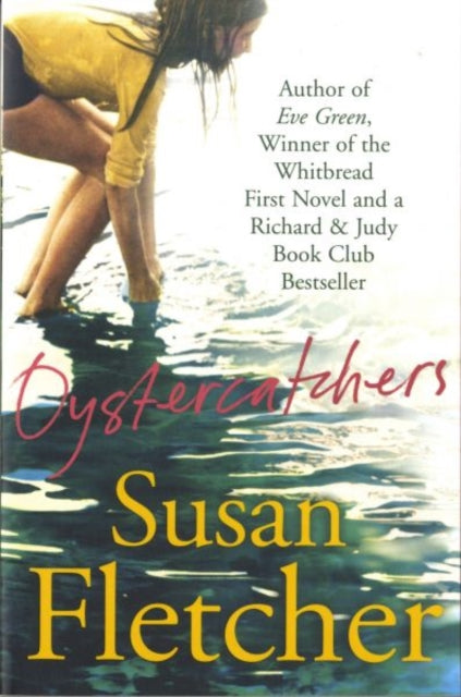 Oystercatchers By Fletcher, Susan