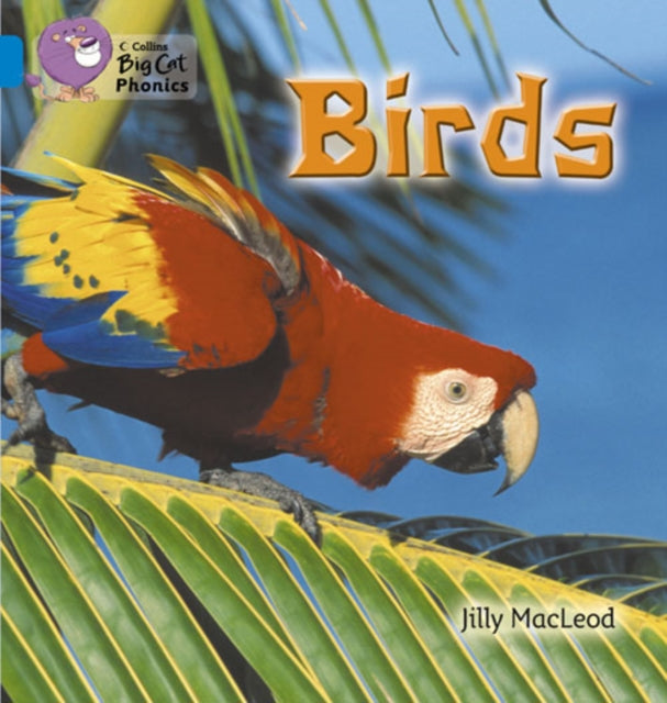 Big Cat Birds Blue 4