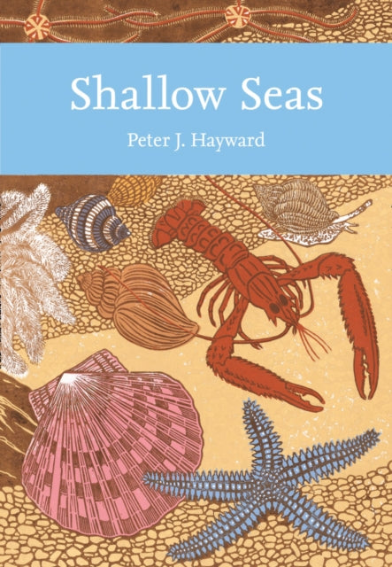 Shallow Seas Nn Lib131 Pb