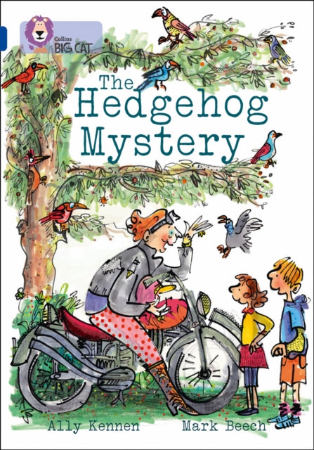 Hedgehog Mystery Band 16 Sapphire