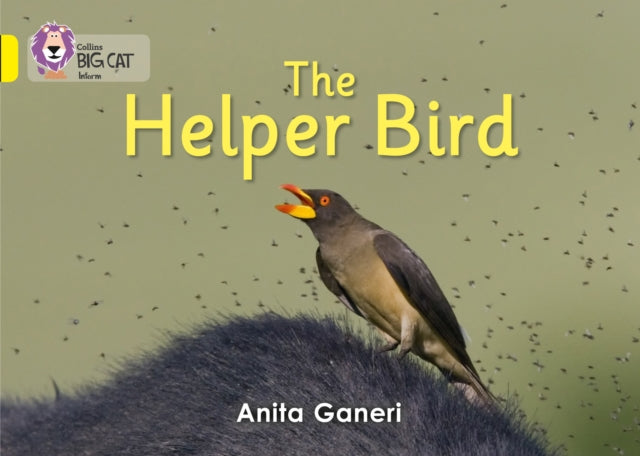 Helper Bird Yellow Band 3