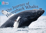Collins Big Cat The Journey Of Humpback By Unknown