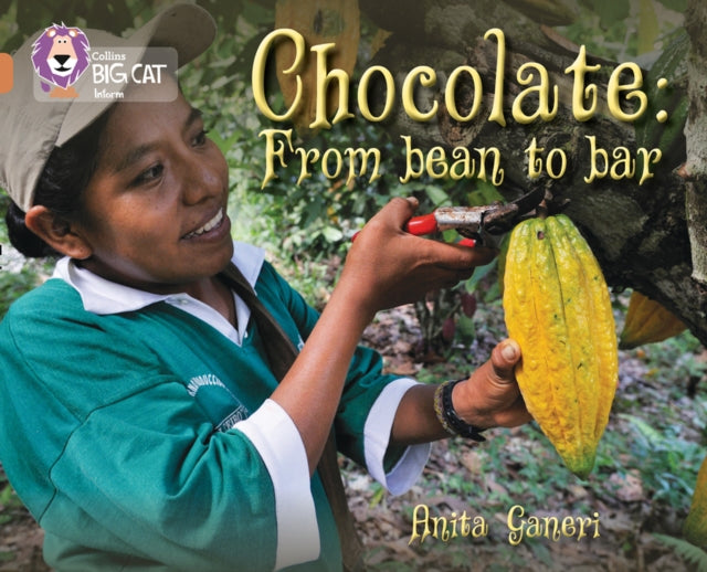 Collins Big Cat Chocolate From Bean To B