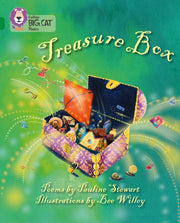 Big Cat Treasure Box