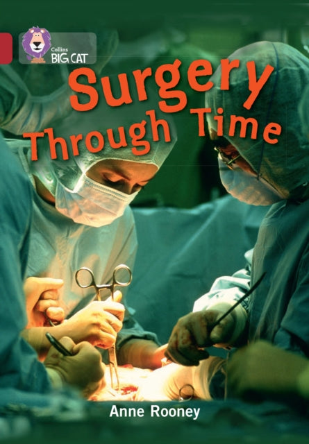 Big Cat Surgery Through
