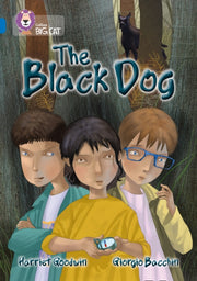 Big Cat The Black Dog