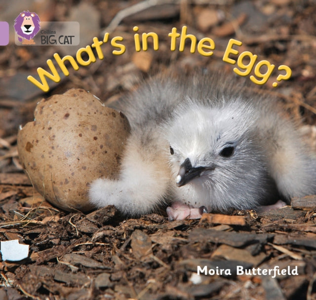 Whats In The Egg Band 0/lilac