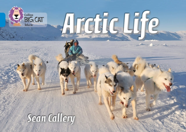 Arctic Life Blue/band 4