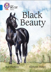 Big Cat Black Beauty