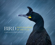Bird Photographer Of The Year By Bird Photographer