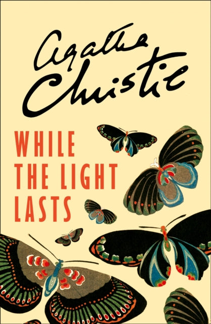 While The Light Lasts Pb