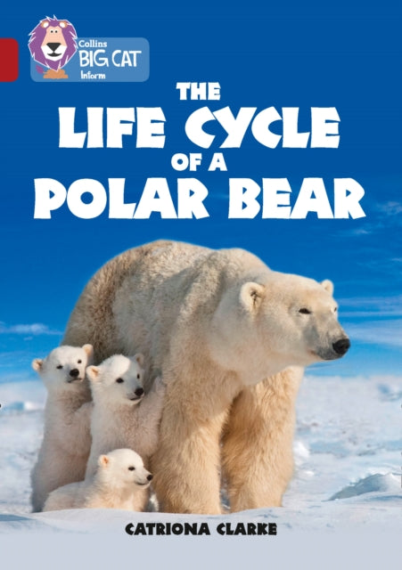 Life Cycle Of A Polar Bear Band 14ruby