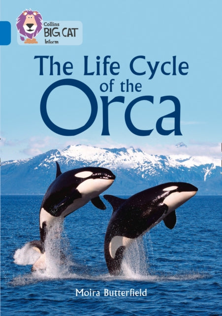 Collins Big Cat The Life Cycle Of The Or