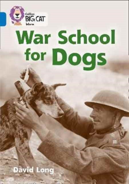 Big Cat Was School For Dogs