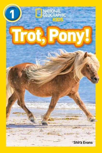 Trot Pony