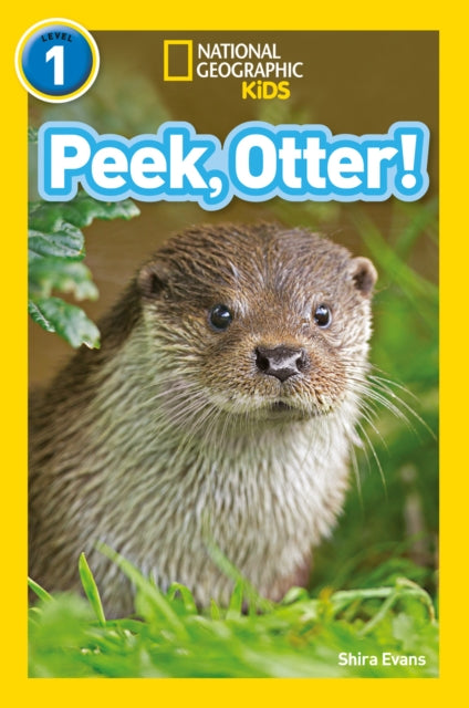 Peak Otter