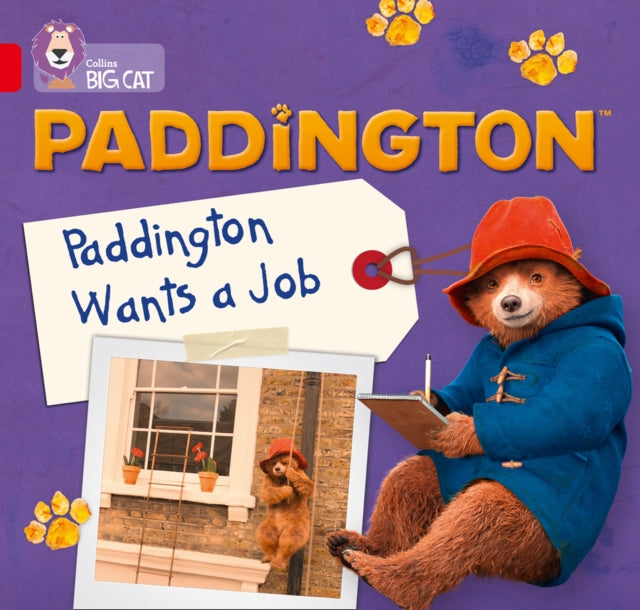 Big Cat Paddington Jobs