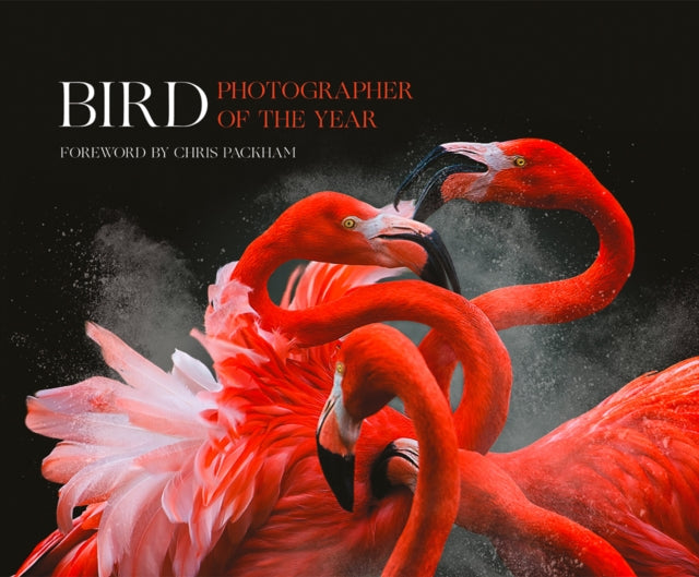Bird Photographer Of The Year Collectn 3