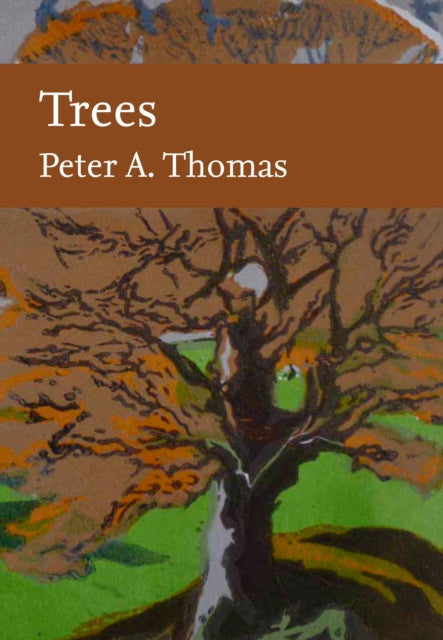 Trees Nn Lib Hb