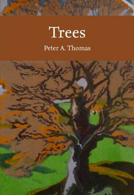 Trees Nn Lib Pb