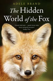 Hidden World Of The Fox