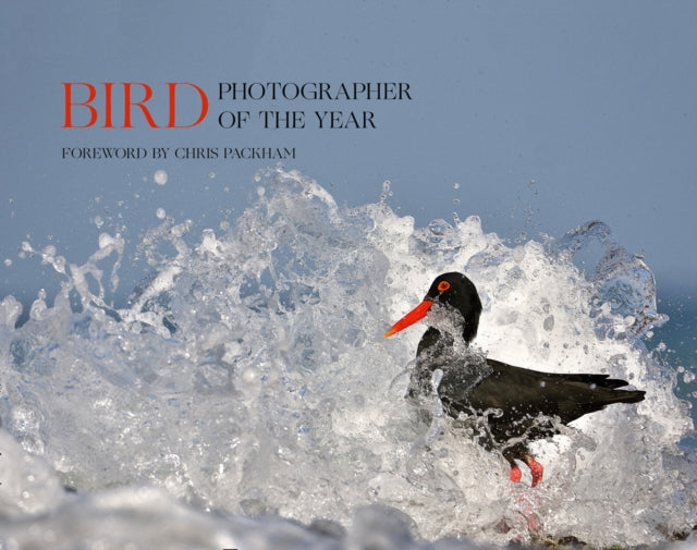 Bird Photographer Of The Year Collectn 5