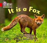 Big Cat Phonics For It Is Fox