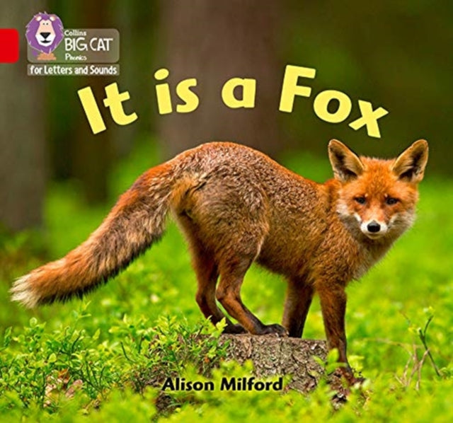 Big Cat Phonics For It Is Fox