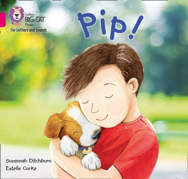 Big Cat Phonics Non Fiction 2