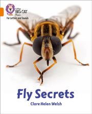 Big Cat L S Fly Secrets