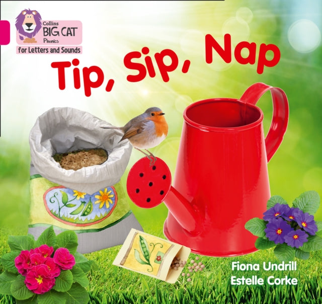 Collins Big Cat Phonics For Letters & So