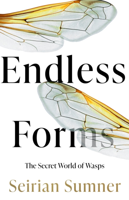 Endless Forms The Secret World Of Wasps