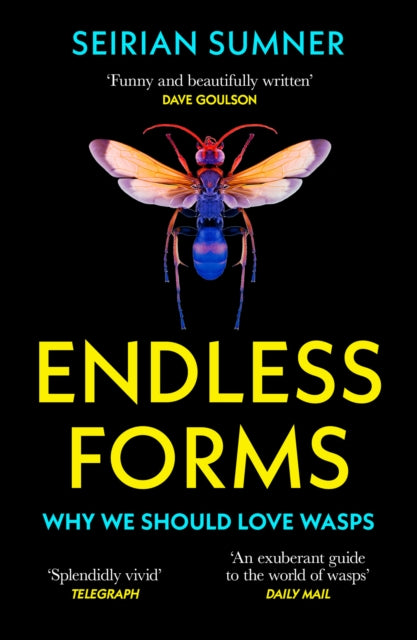 Endless Forms Secret World Of Wasps